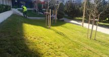 Stire din Social : Se măreşte suprafaţa de spaţiu verde din oraş
