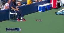 Stire din Sport : Incredibil ce s-a întâmplat la US Open! Cine a întrerupt un meci de tenis