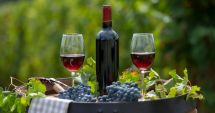 Stire din Sănătate : Vinul roșu vă protejează neuronii de efectele procesului natural de îmbătrânire