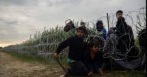 Stire din Actualitate : Violențe la granița sârbo-maghiară. Ungaria a trimis armata să-i oprească pe migranții agresivi