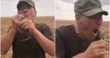 Stire din Actualitate : Un bărbat din Rusia a murit după ce și-a băgat o viperă în gură și aceasta l-a mușcat de limbă