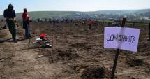 Stire din Politică-Administrație : Voluntarii constănțeni vor planta 10.000 de puieți în Peștera
