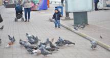 Stire din Social : ANM. Cum va fi vremea astăzi, la Constanța