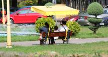 Stire din Social : Cum va fi vremea  în week-end,  la Constanța