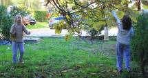 Stire din Social : Ceață la Constanța. Cum va fi vremea, astăzi și mâine