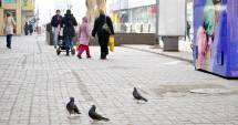 Stire din Social : Soare cu dinți, astăzi, la Constanța