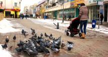 Stire din Social : Cer mai mult senin și maxime de 7 grade Celsius, astăzi, la Constanța