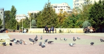 Stire din Social : Vreme deosebit de caldă, astăzi, la Constanța