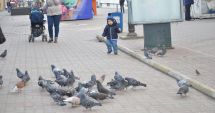 Stire din Social : Cum va fi vremea, săptămâna aceasta, la Constanța
