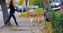 Stire din Social : Vreme călduţă, cu cer acoperit, la Constanţa