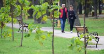 Stire din Social : Vreme instabilă, vânt şi ploi răzleţe, în Dobrogea