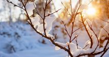 Vremea devine normală pentru mijlocul iernii, în ianuarie. Prognoza meteo pentru următoarele patru săptămâni