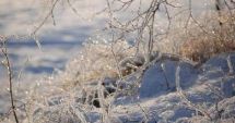 Stire din Social : Temperaturile încep să scadă, după zilele de primăvară din mijlocul iernii. Unde sunt aşteptate ninsori