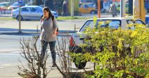 Stire din Social : Vreme preponderent însorită și maxime de 17 grade Celsius, la Constanța