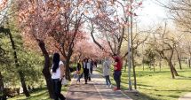 Stire din Social : Vreme deosebit de caldă, la Constanţa. În weekend, vin ploile
