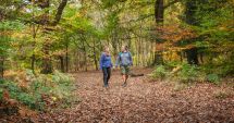 Stire din Social : METEO - Temperaturi maxime cuprinse între 18 și 21 de grade Celsius