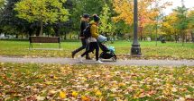 Stire din Social : Temperaturi maxime de până la 21 de grade Celsius