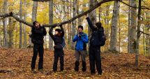 Stire din Social : METEO - Temperaturile minime sunt cuprinse între -3 și un grad Celsius