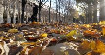 Stire din Social : Vremea se încălzeşte, maximele zilei ajungând la 16 grade Celsius