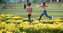 Stire din Social : METEO - Vreme caldă, cu temperaturi ce vor ajunge până la 21 de grade Celsius
