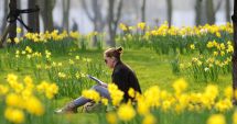 Stire din Social : METEO - Temperaturile maxime se vor încadra între 13 și 18 grade Celsius