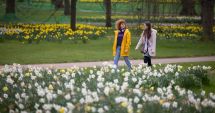 Stire din Social : METEO - Vreme cu cer variabil și temperaturi normale pentru această perioadă