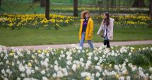 Stire din Social : METEO - Vreme schimbătoare, dar foarte caldă pentru această perioadă