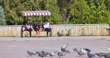 Stire din Social : ANM. Cum va fi vremea astăzi, la Constanța