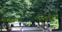 Stire din Social : Ploi însemnate cantitativ, vânt și furtuni, la Constanța