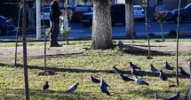 Stire din Social : Cum va fi vremea în weekend, la Constanța