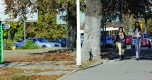 Stire din Social : ANM. Cum va fi vremea, în următoarele ore, la Constanța