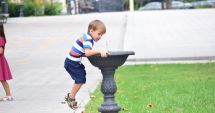 Stire din Social : Vreme în încălzire, pe litoral. De vineri, revine canicula