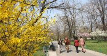 Stire din Social : Veste bună! Vremea se încălzește ușor