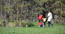 Stire din Social : Vreme foarte caldă, la Constanța