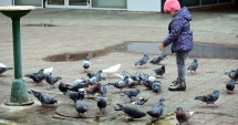 Stire din Social : De mâine, se încălzește din nou, la Constanța