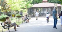 Stire din Social : Vreme caldă și însorită, la Constanța