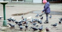 Stire din Social : Vreme închisă și rece, la Constanța