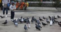 Stire din Social : Cum va fi vremea mâine, la Constanța