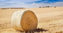 Stire din Social : ANM a emis prognoza pentru august, ultima lună de vară