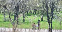 Stire din Social : Cum va fi vremea,  săptămâna aceasta,  la Constanța