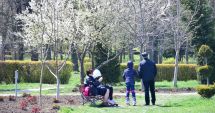 Stire din Social : Cum va fi vremea  în Săptămâna Mare, la Constanța