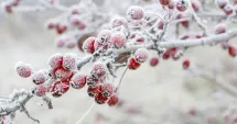 Stire din Actualitate : Prognoza meteo actualizată pentru următoarele patru săptămâni