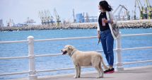 Stire din Social : Cum va fi vremea în weekend, la Constanţa
