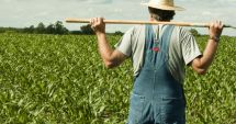 Stire din Economie : Vreți un teren agricol? Iată ce oferte și prețuri sunt în piață!