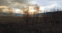 Stire din Eveniment : Weekend de foc, la propriu! 15 incendii, înregistrate la Constanţa