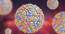 Stire din Social : INSP: Două cazuri de infecţie cu virusul West Nile