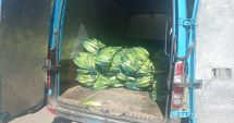 Stire din Eveniment : Vânzătorii ambulanți de pe litoral au fost sancționați. Ce amenzi au primit aceștia