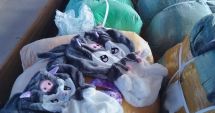 Stire din Eveniment : Iepurașul nu a mai ajuns! Container cu jucării contrafăcute, oprit în Portul Constanța