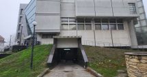 Stire din Eveniment : Pitbull, finul lui Adi Minune, adus în fața magistraților Tribunalului Constanța