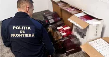 Stire din Eveniment : Captură uriașă în Portul Constanța. Mii de pachete de țigări ascunse pe o navă străină